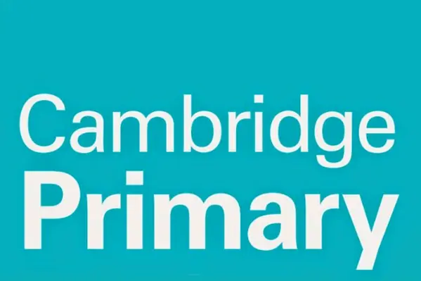 primary-image
